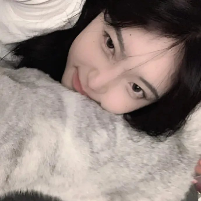 爱情像猫一样